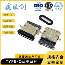 type-cĸ 24Pǰ ˮȦTYPEC 3.1USBĸ