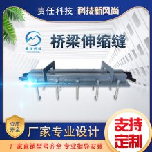 模数式桥梁伸缩缝gqf-c型D80 d60型 SF型梳齿板桥面路面伸缩装置