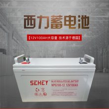 SEHEYNPG80-12Ǧά12V80AHʽֱUPS/EPSά
