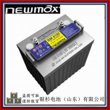 ԭװNewmaxBM 8190綯۹⳵ ߶8V-190AHǦ