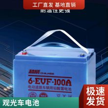 ǣ6-EV-150 12V80AHLƿ