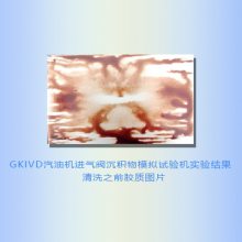 汽油清净性检测仪器 汽油清净性快速检测仪制造商 源头厂家