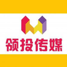 上海领投广告传媒有限公司