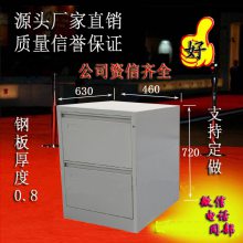 源头直销 二屉柜 挂劳柜 资料柜 钢制家具 河北xjwc品牌 环保产品 支持定做