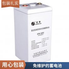 ɽʥGFMD-200Cܵس12V200AHͨŻվups̫
