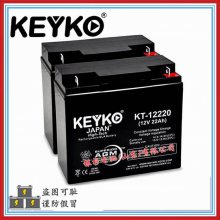 ԭװKEYKOKT-12220ϵͳ UPS12V-22Ah