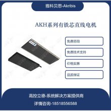 ͺ AKH200-N-H-B2-DE-NF-005-FF-0RB ȫƷȫϵйӦ