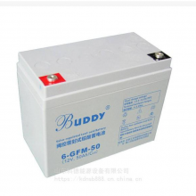 BUDDY6-CNJ-9012V90AHܴ۸