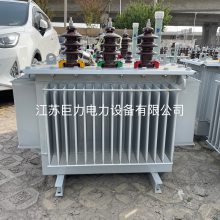 20KV变压器 全铜/全铝S13-160KVA/20KV油浸式变压器 江苏巨力
