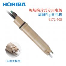 ձHORIBAܥƬʽרõ缫PH缫6171-50B