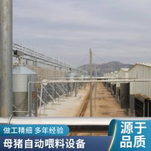 猪场自动化喂料 养殖设备料塔 猪舍塞盘料线 省时省力 河南诚友