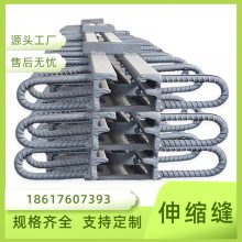 伸缩缝装置公路桥梁路面多向变位植入式防震缝