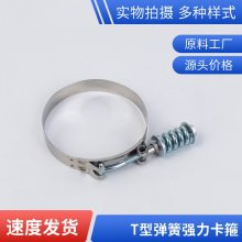 源头厂家专业生产304不锈钢T型强力卡箍80-88