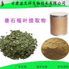 蕃石榴汁提取物 蕃石榴多肽98% 蕃石榴果粉 蕃石榴提取液 蕃石榴提取物