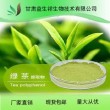 绿茶EGCG60% 表儿茶素 绿茶提取物 茶多酚