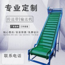 铁屑带式输送机 成箱水果输送机 丰瑞移动方便的输送机