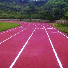 海尼供應(yīng)YL-5035 epdm顆粒材料 全塑自結(jié)紋塑膠跑道