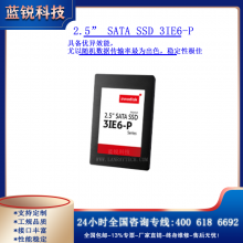 2.5 SATA SSD 3IE6-P*80GB~640GB