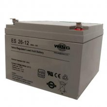 ¹WINGESL15-12X 12V15AHֱ  UPS/EPSԴ