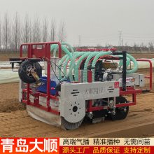 大顺平地气吸式菠菜香菜芹菜油菜生菜播种机 一穴一粒免人工省种子