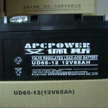 供应艾佩斯蓄电池UD24-12 12V24AH 铅酸免维护 UPS机房电源