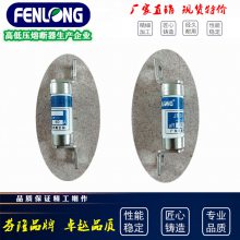 芬隆科技RGS11快速熔断器