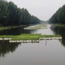 无锡市人工浮岛技术 景观水处理 水面蔬菜浮岛