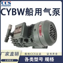 CYBW-10/15/20/25/40ˮװĤƬCCS綯