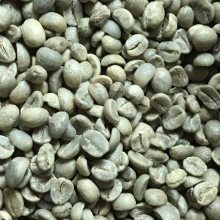 供应厌氧日晒咖啡生豆阿拉比卡小粒商用咖啡豆产地资源