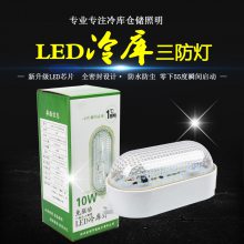 ledСԲ10W AC220V36Vˮרled