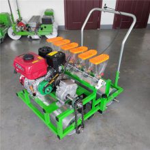 Ʒ߲СͲֻʥӲֻ9аײ˲ֻ