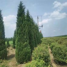 80 1۸1.5ס2