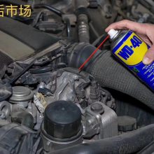 Ӧ***WD-40 һʮ