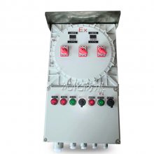 防爆温控仪表控制箱 恒温电伴热配电箱 电加热照明动力控制柜