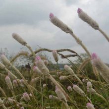 �������������Ż� �ļ�����ܸܸ�������̻���ѿ***�����������ٶȿ�