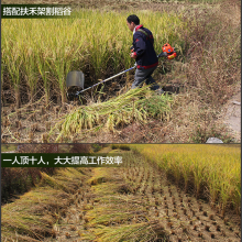 小型背负式汽油割草机 水稻收哥机 菜园子大棚除草机