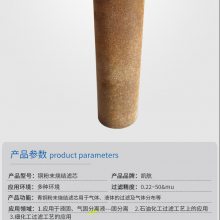 定做3μm铜粉末烧结滤芯铜粉颗粒烧结定做滤芯