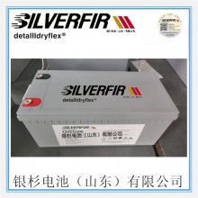 ԭװSILVERFIRɼ2VEL300  UPS2V-300AH