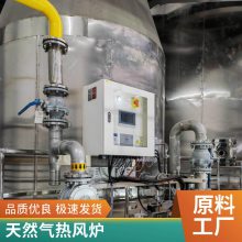 岱鼎燃烧 直燃式天然气热风炉 工业车间厂房供暖 全自动热气炉厂家