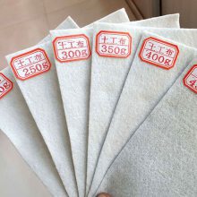 无纺布厂家 土工布100g200g300g400g500g600g土工布供应