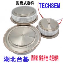 Y60KPĘɿعKP1800A1600V 1800VƵ¯TECHSEMբ