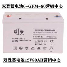 ˫6-GFM-65 12V65AHUPS/EPSֱϵƿϵͳ