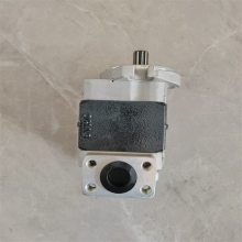 SGP2 SGP1ϵҺѹֱ 泵SGP1Һѹ