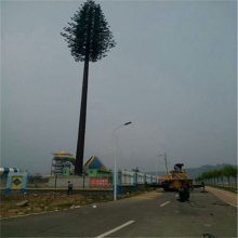 ź 5gͨ ɭּ˾