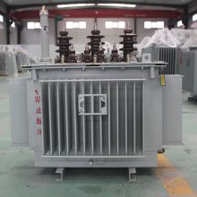 s11ѹ s11-160kva/10 ȫܷԵ ˫ ʵ