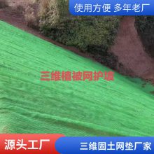 塑料三维植被网 护坡植草土工网垫世杰 山坡固土用三维网
