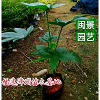˽ǽ 30-40 ԰ճ