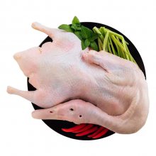 ߲ͣʳͣˮͣ