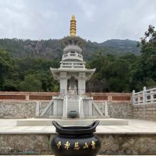 东林寺石雕塔林 方形石雕舍利塔 金刚塔石雕