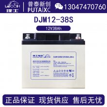 LEOCH理士蓄电池DJM1238S 12V38Ah阀控密封式铅酸免维护蓄能电池